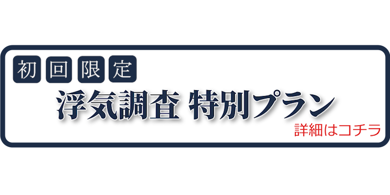 浮気調査 特別プラン