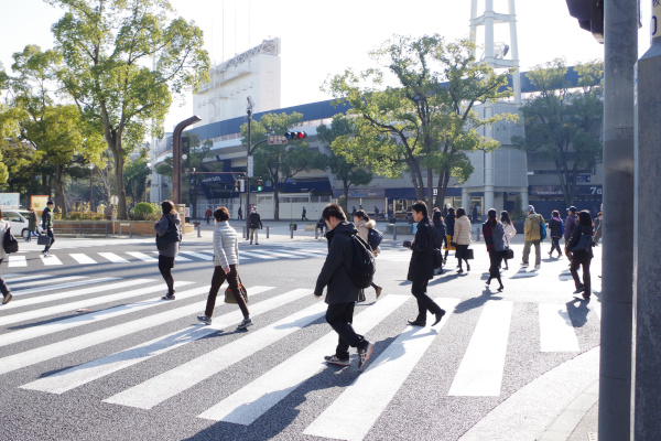 接触者の身元確認調査の写真